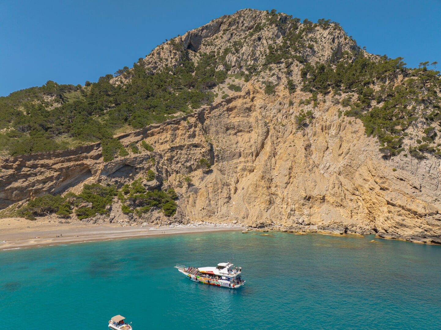 Alcanada and dolphin boat