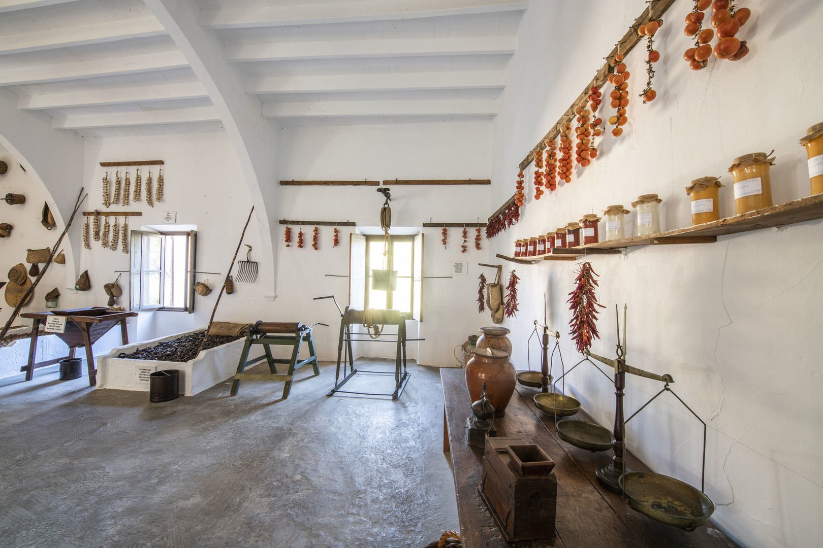 things to do in mallorca