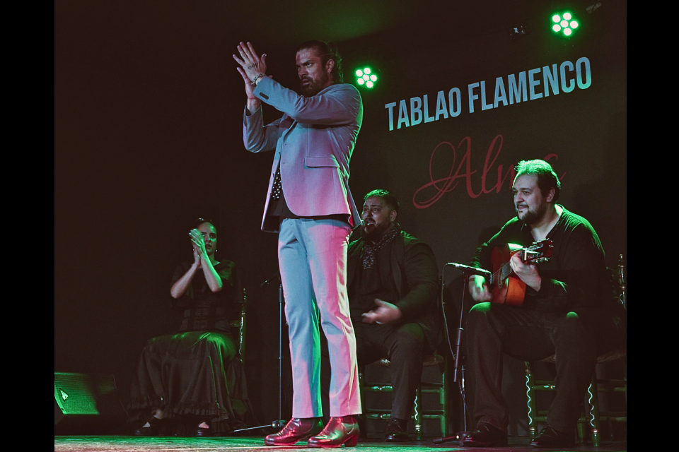 flamenco show with music