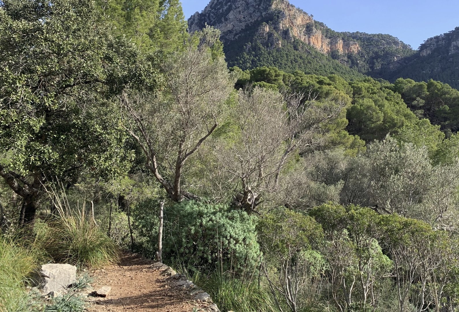 hiking trail in valldemossa