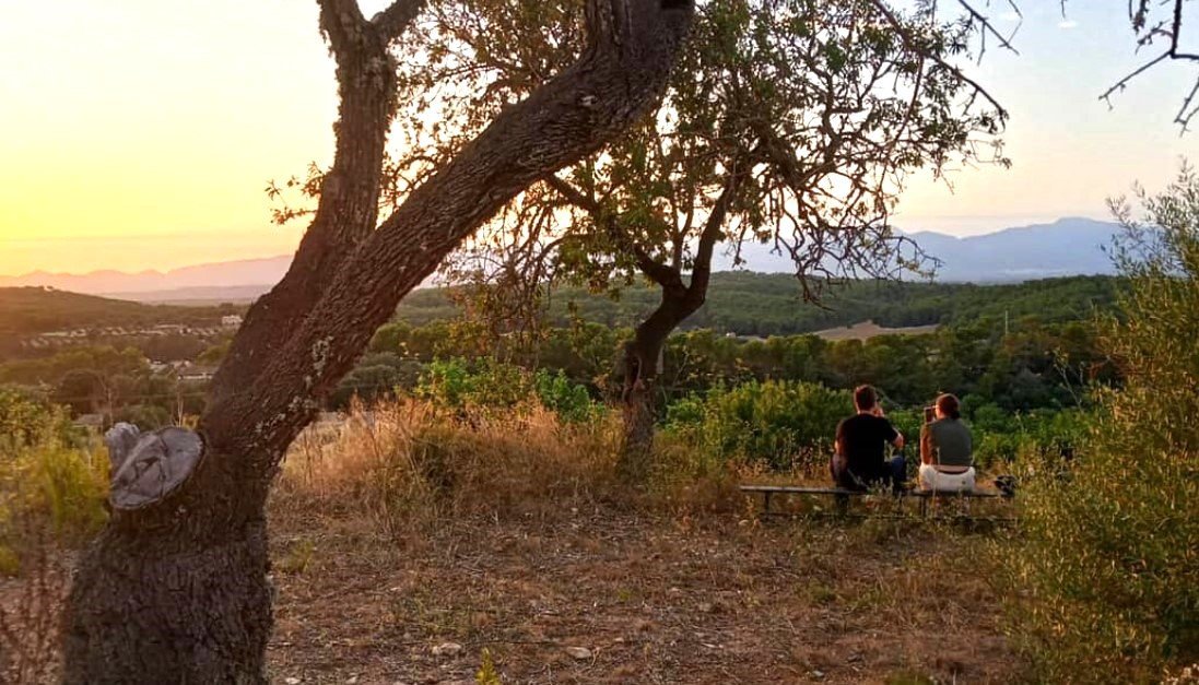 sunset of the horse riding route