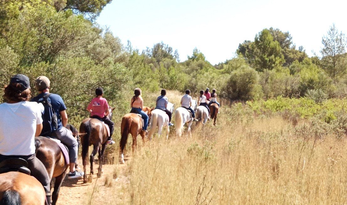 horseback riding in the forest