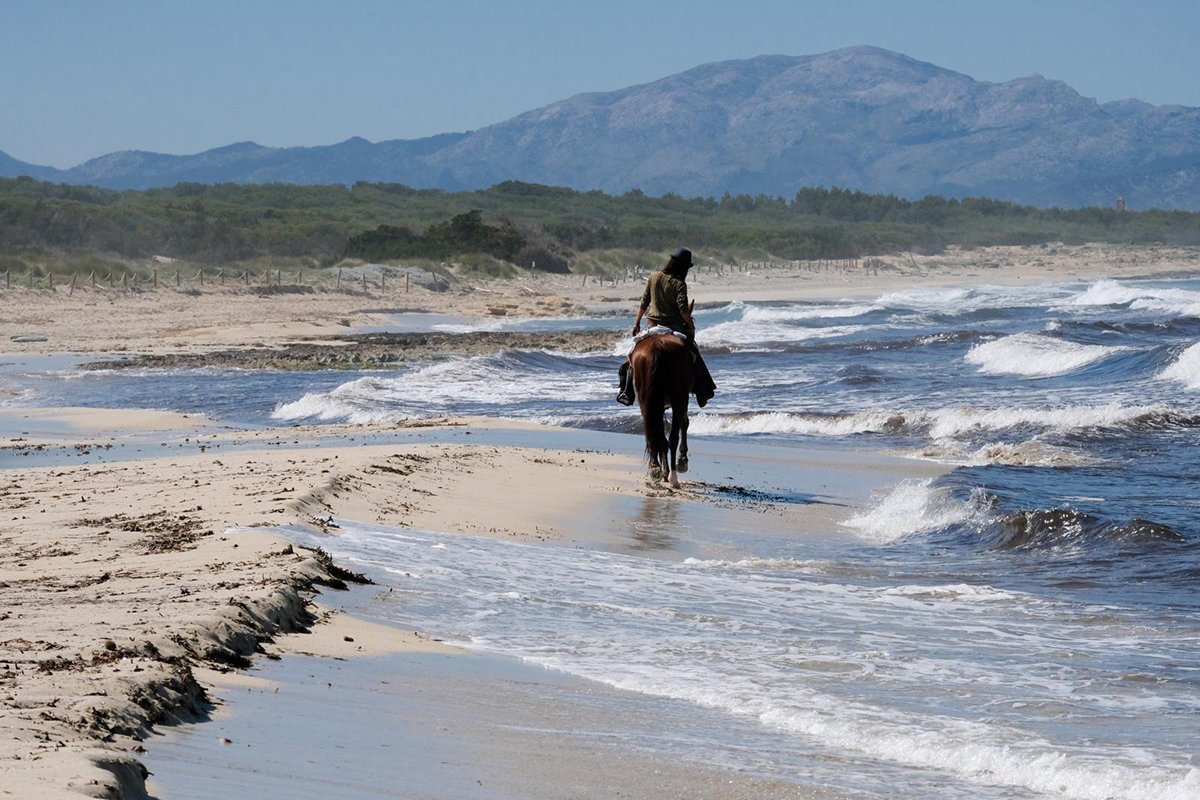 beach horse riding tour