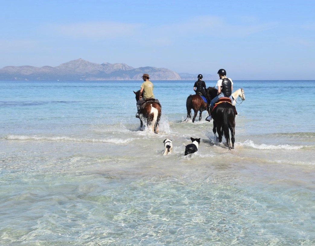 horse riding route mallorca virgin beaches