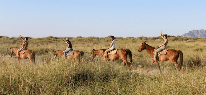 rancho grande in son serra de marina