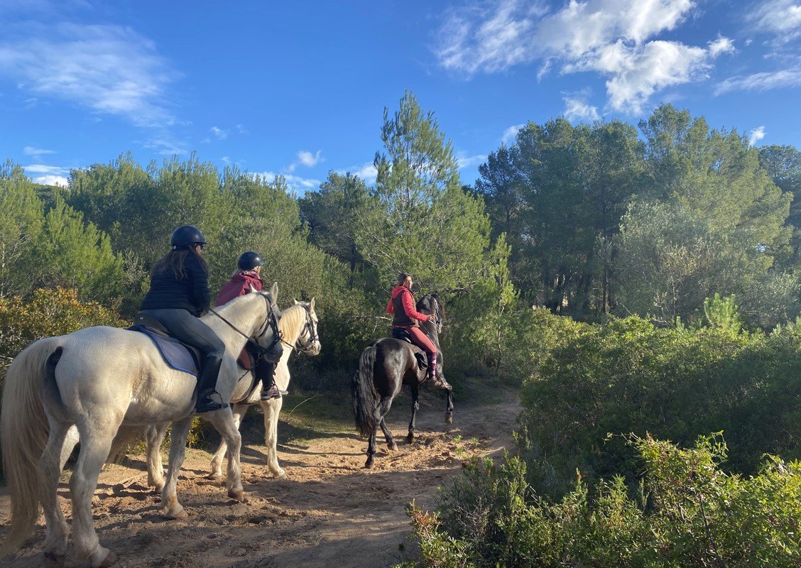 group horse riding activity on the beach in mallorca