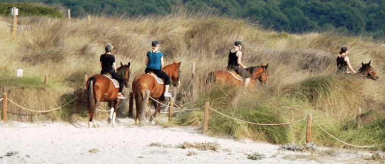 Group during horse riding on the beach