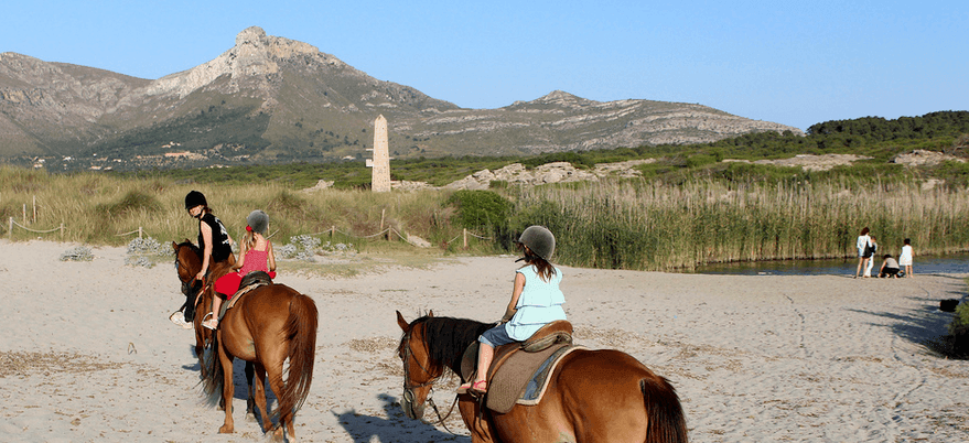 at the beach with the horses
