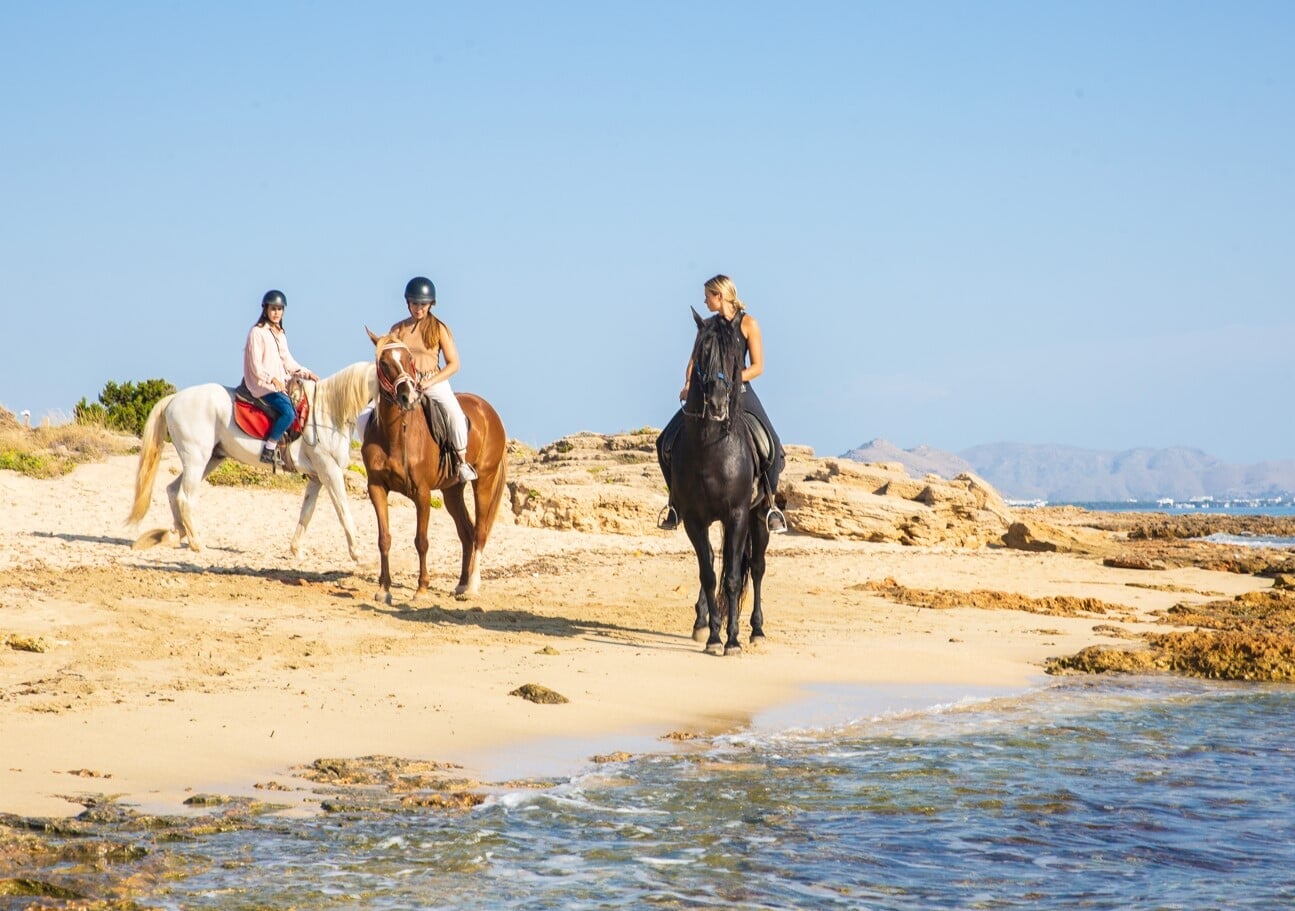 Horseback ride on Alcudia Beach