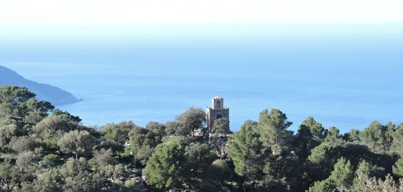 viewpoint on the tour