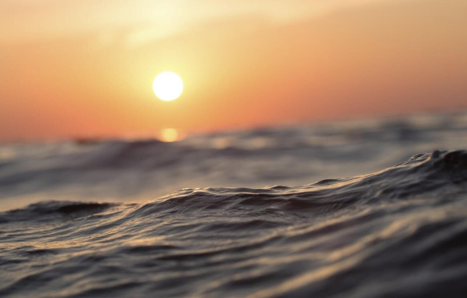 Sun over the Mediterranean Sea during a dolphin watching excursion in Palma de Mallorca