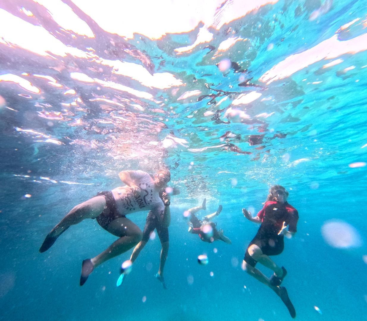 snorkelling on the kayak tour