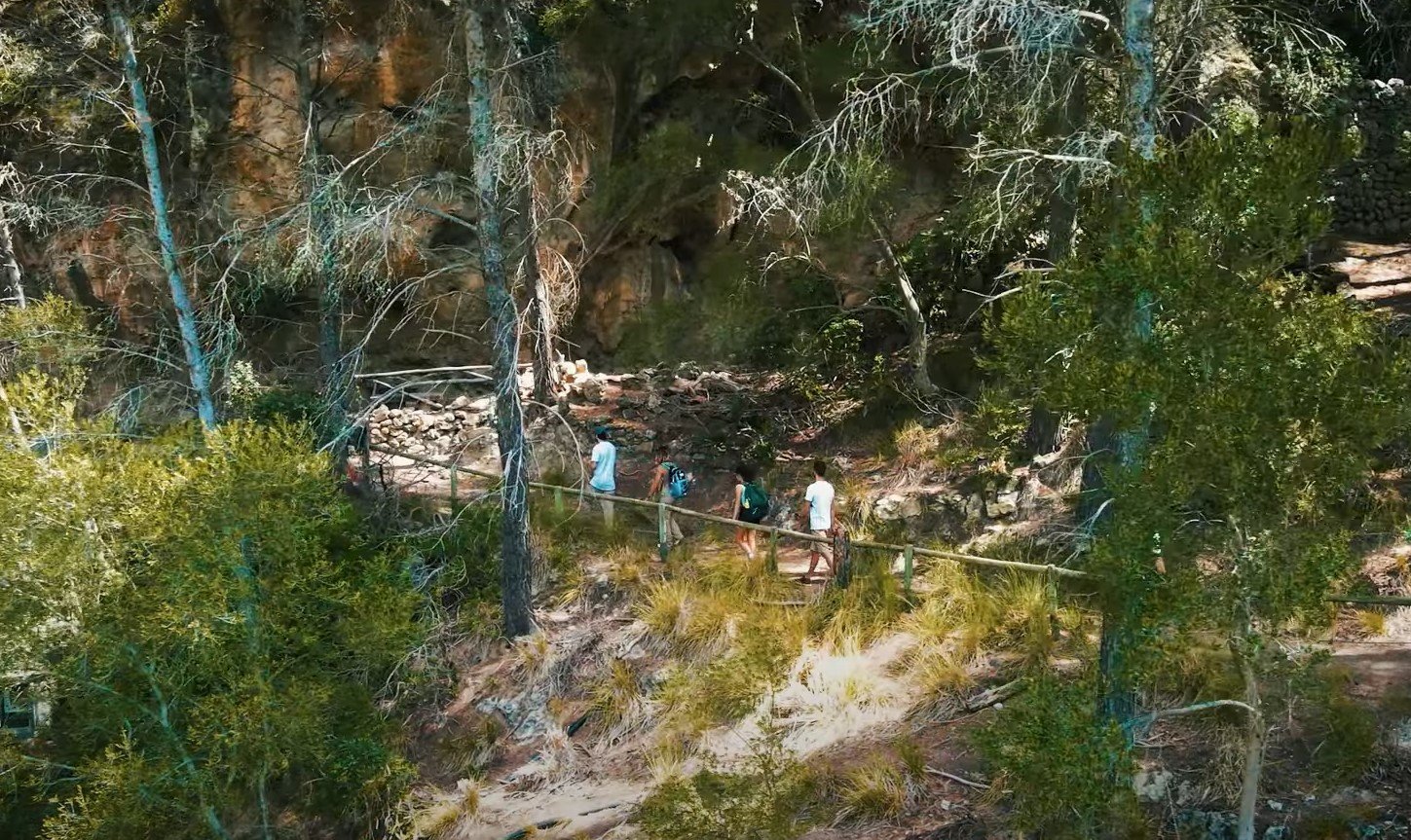 nature in the tramuntana