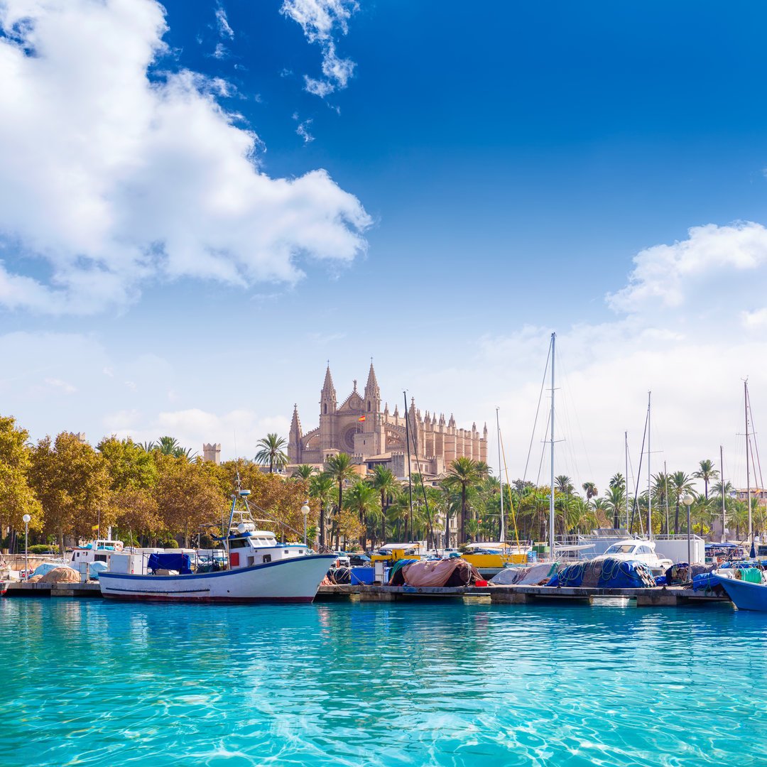 harbour and cathedral in Palma
