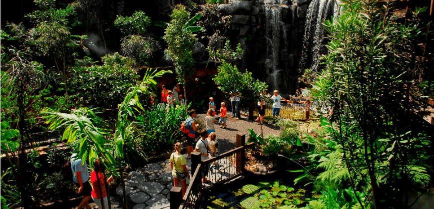 activities at palma aquarium