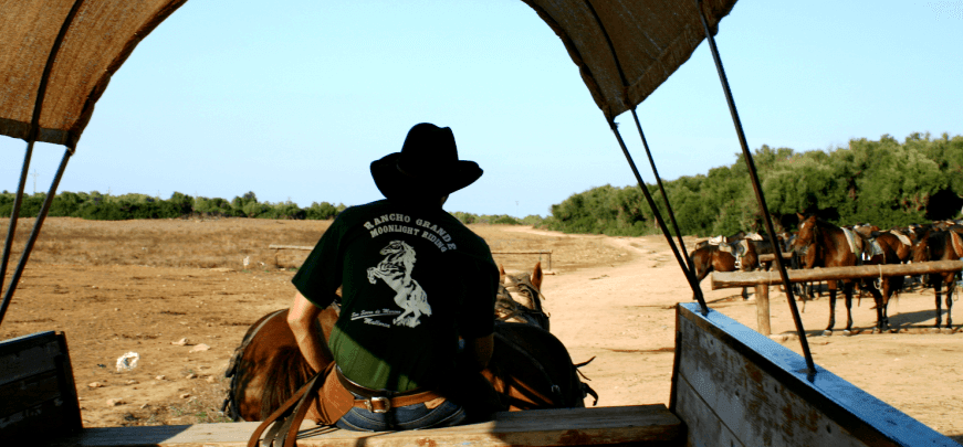 on the wagon around the ranch
