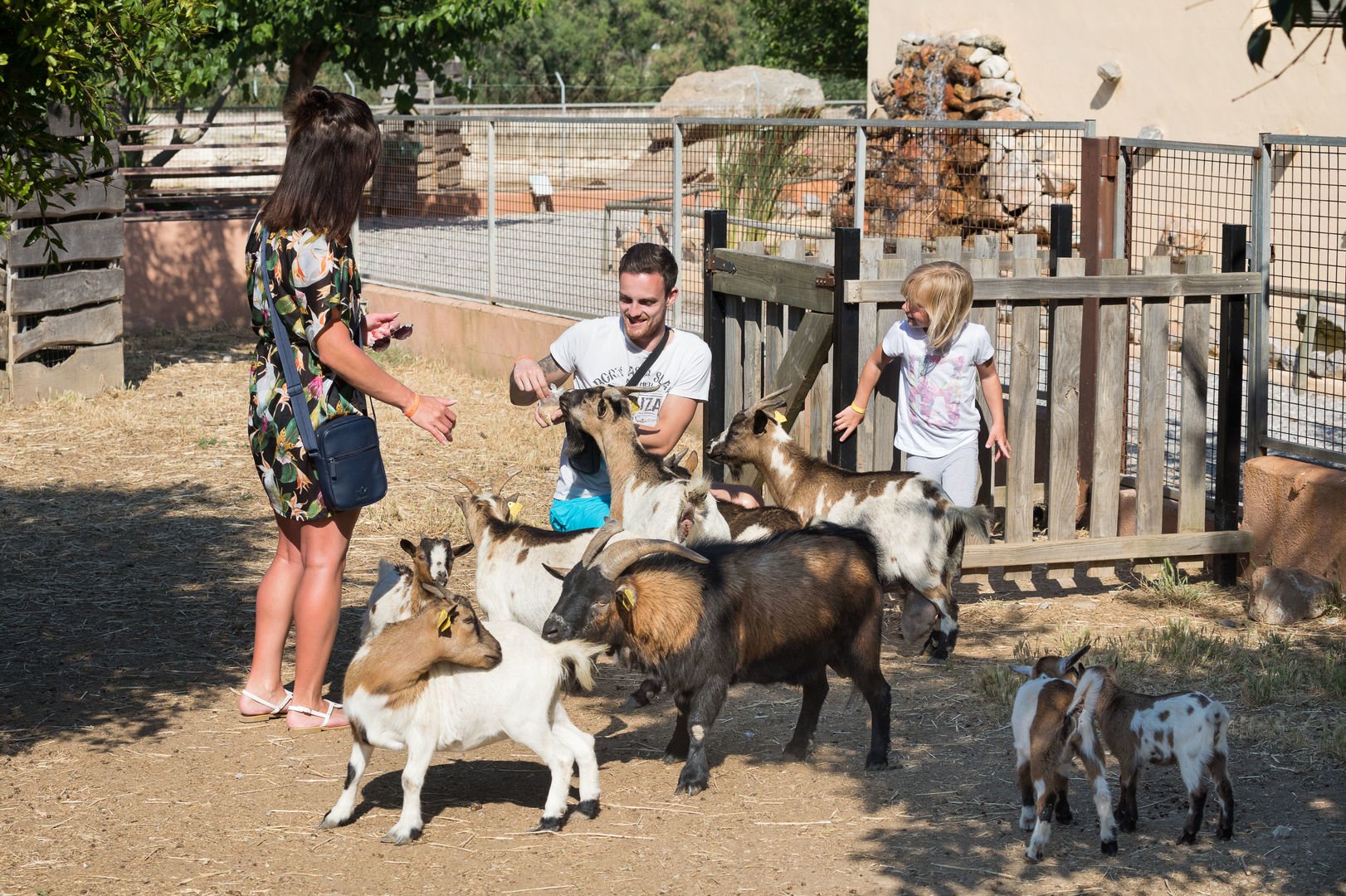 Farm at the Ranxo ses roques