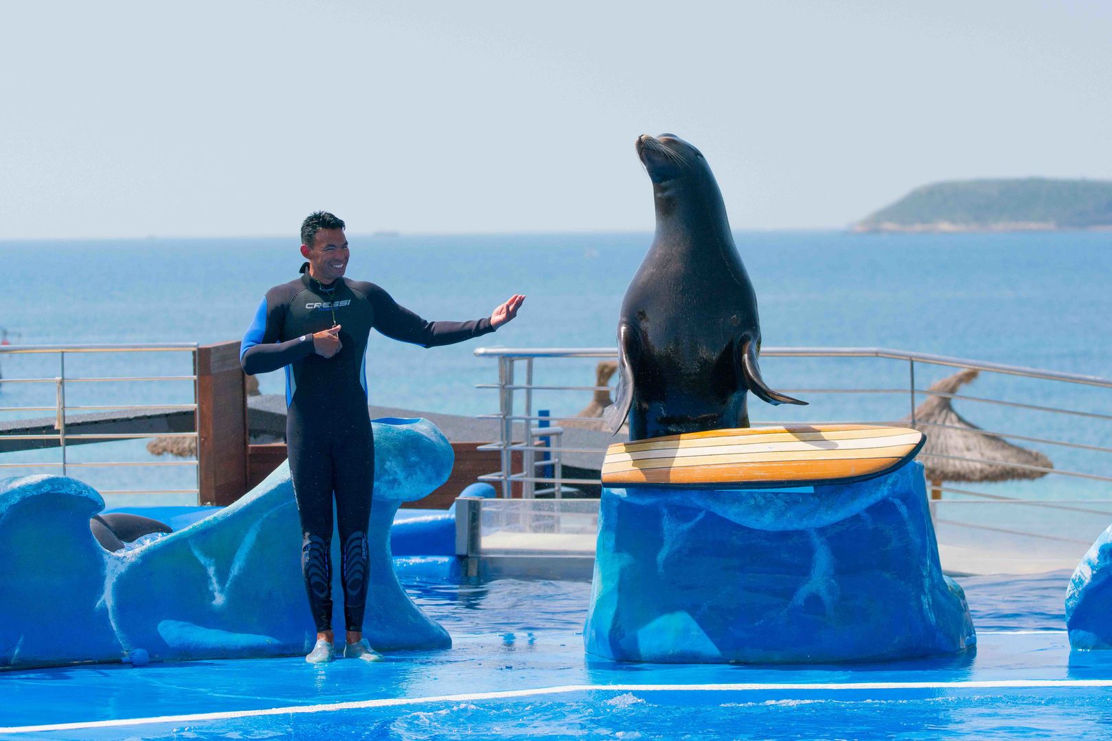 seal show in marineland