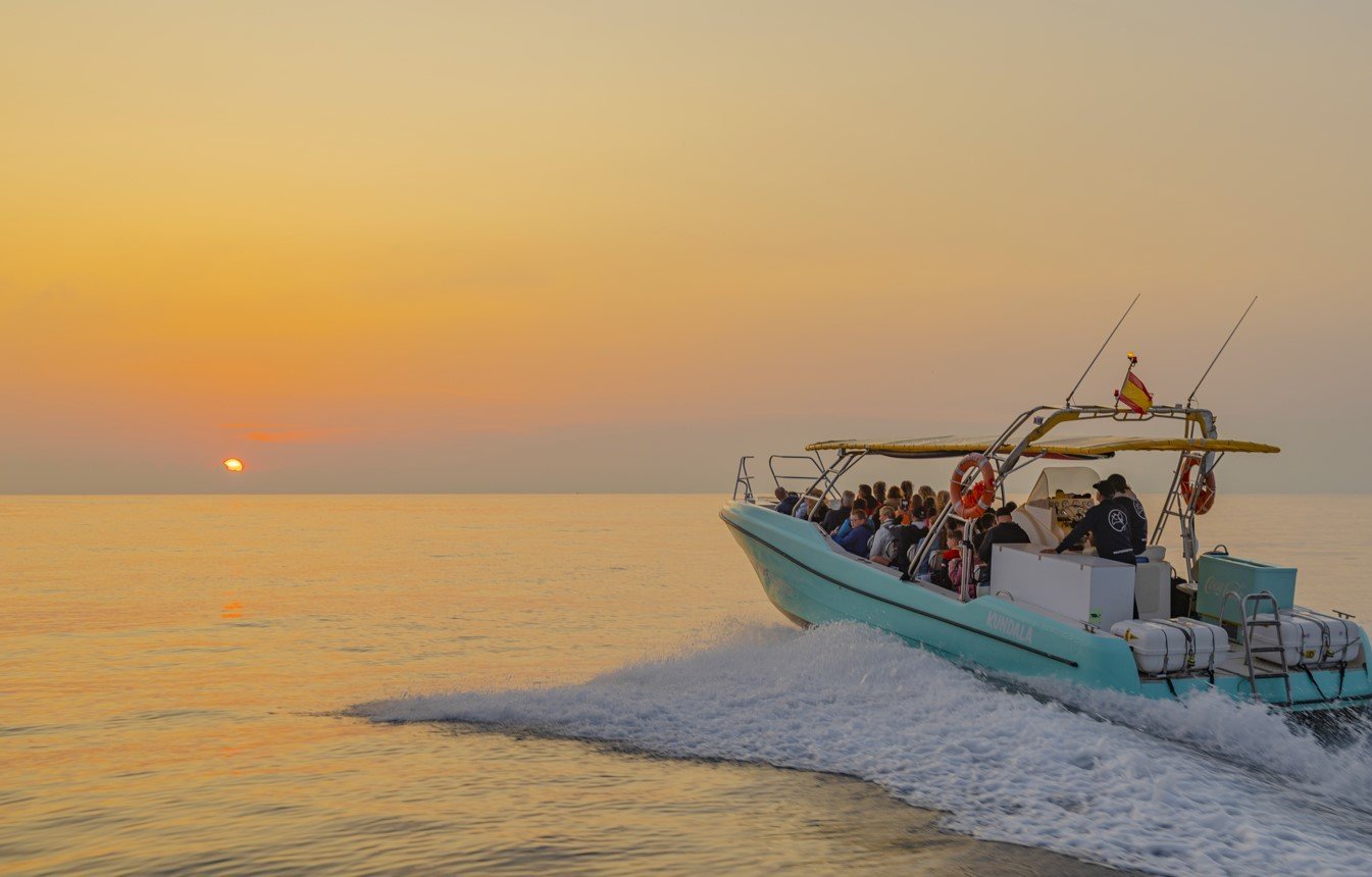 dolphin boat trip sardinia