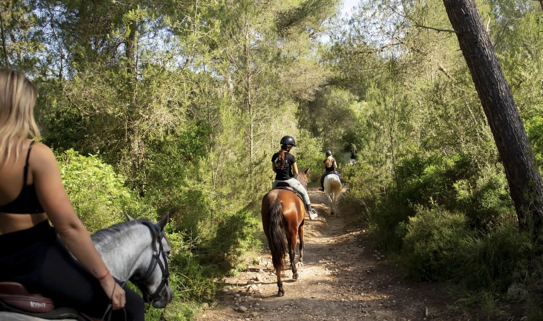 Three horses in line riding along a sun and shade trail during a horseback excursion in Mallorca