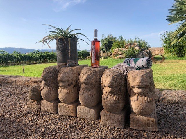 wine from the winery