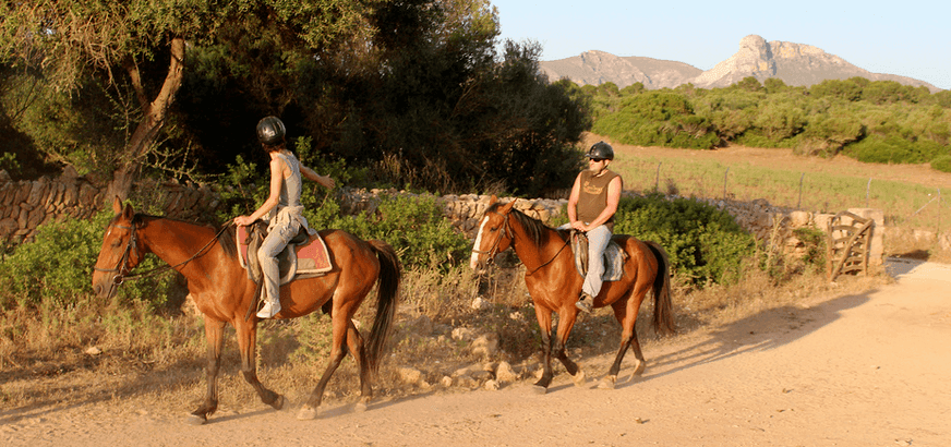 il grande ranch in è serra de marina