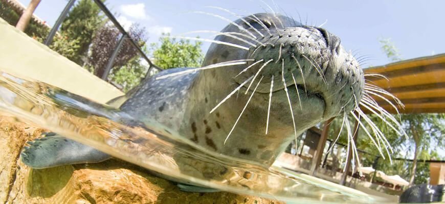 Le attrazioni più importanti di Maiorca