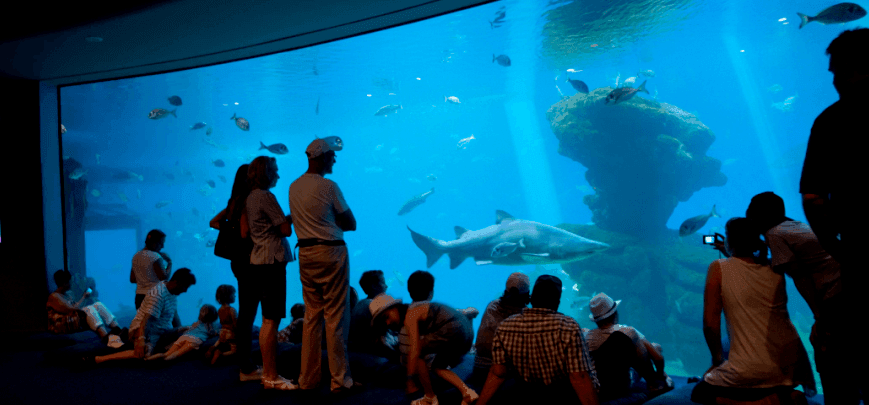 biglietti dell'acquario di palma
