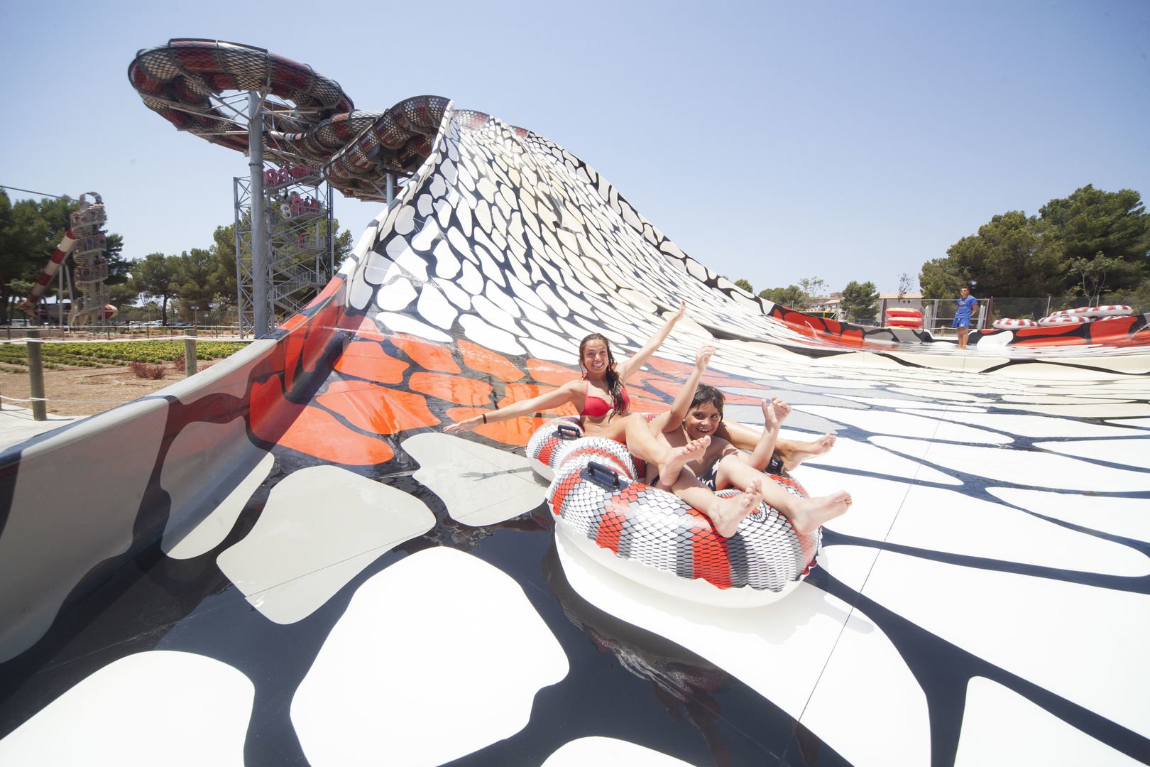 king cobra attrazione dell'acqua